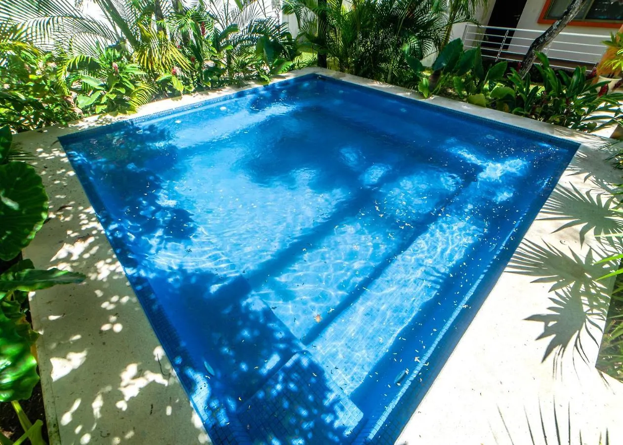 Cancun Airport Condo Hotel Apartment With Pool And Security
